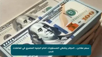 سعر مفاجئ.. الدولار يتخطى المستويات أمام الجنيه المصري في تعاملات الأحد